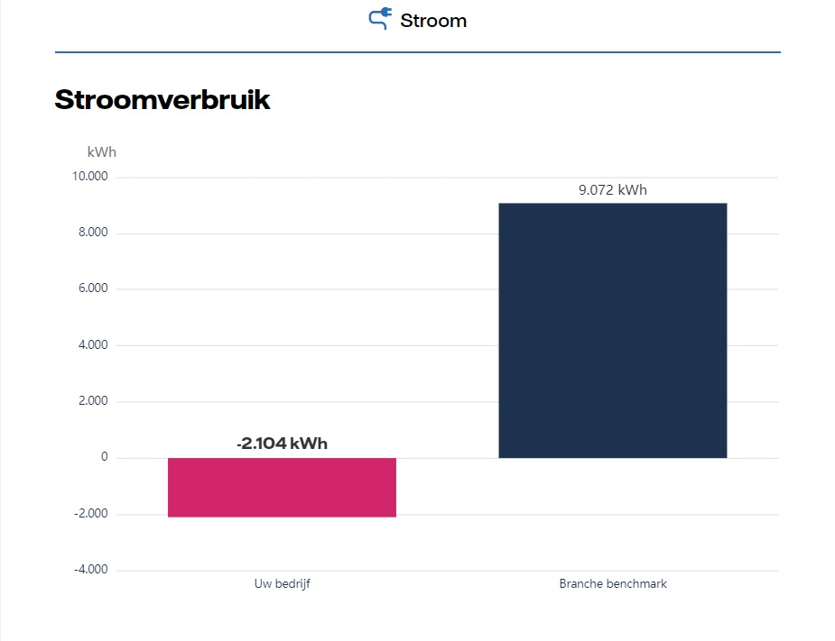 Stroomverbuik ten opzichte van branchegenoten